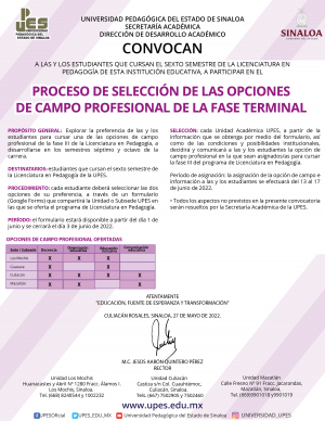 Convocatoria proceso de selecci&oacute;n de las opciones de campos profesional de la fase terminal